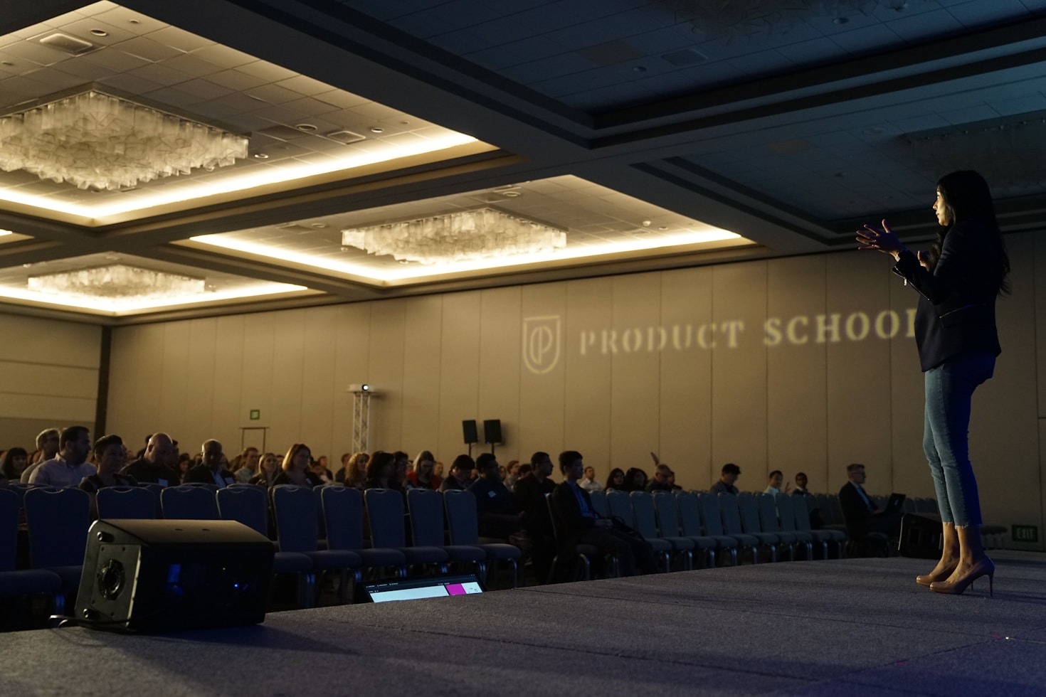 Why Professional Speaking Matters Today